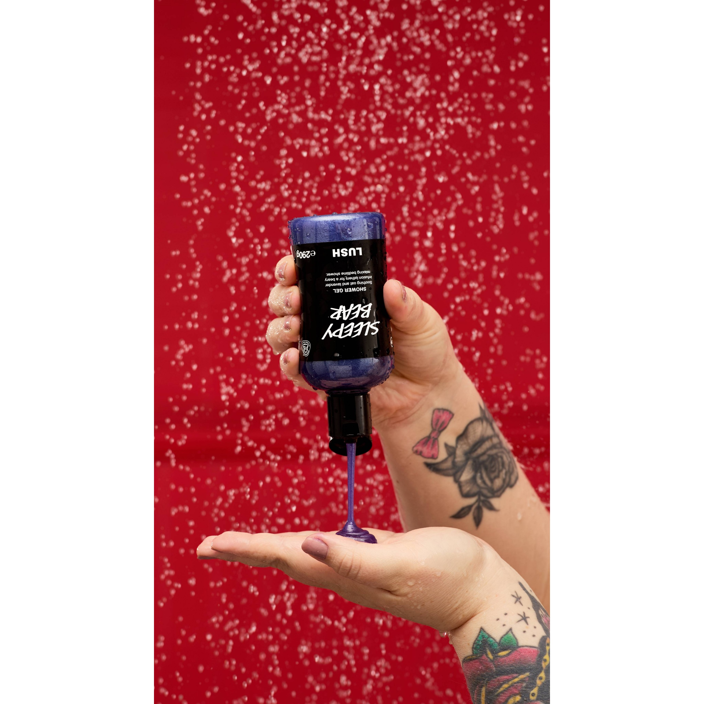 Sleepy Bear - Image 2