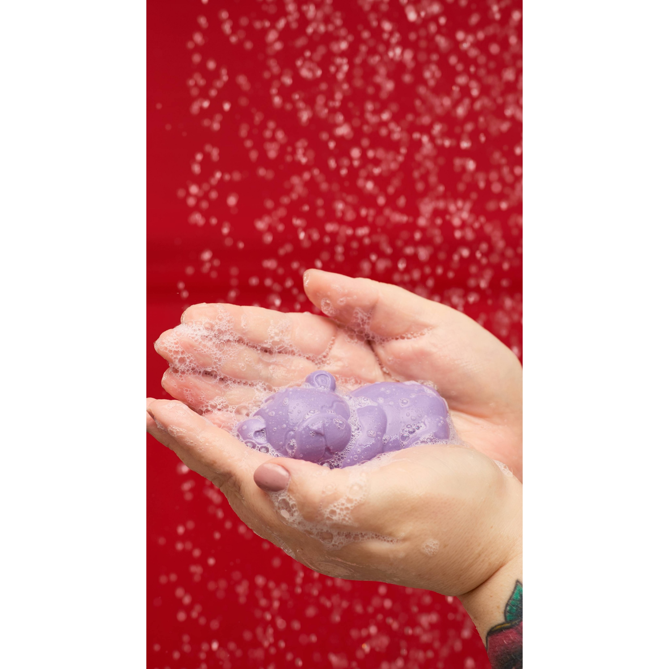 Sleepy Bear - Image 2