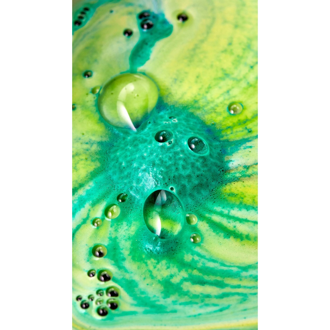 Chelsea Morning - Image 4