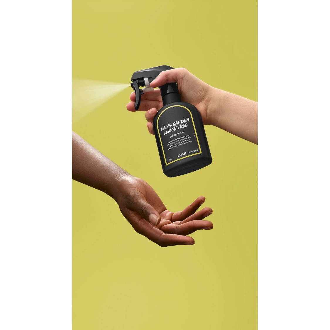 Dad's Garden Lemon Tree - Image 4